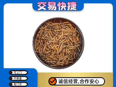 克拉玛依高价回收散虫草